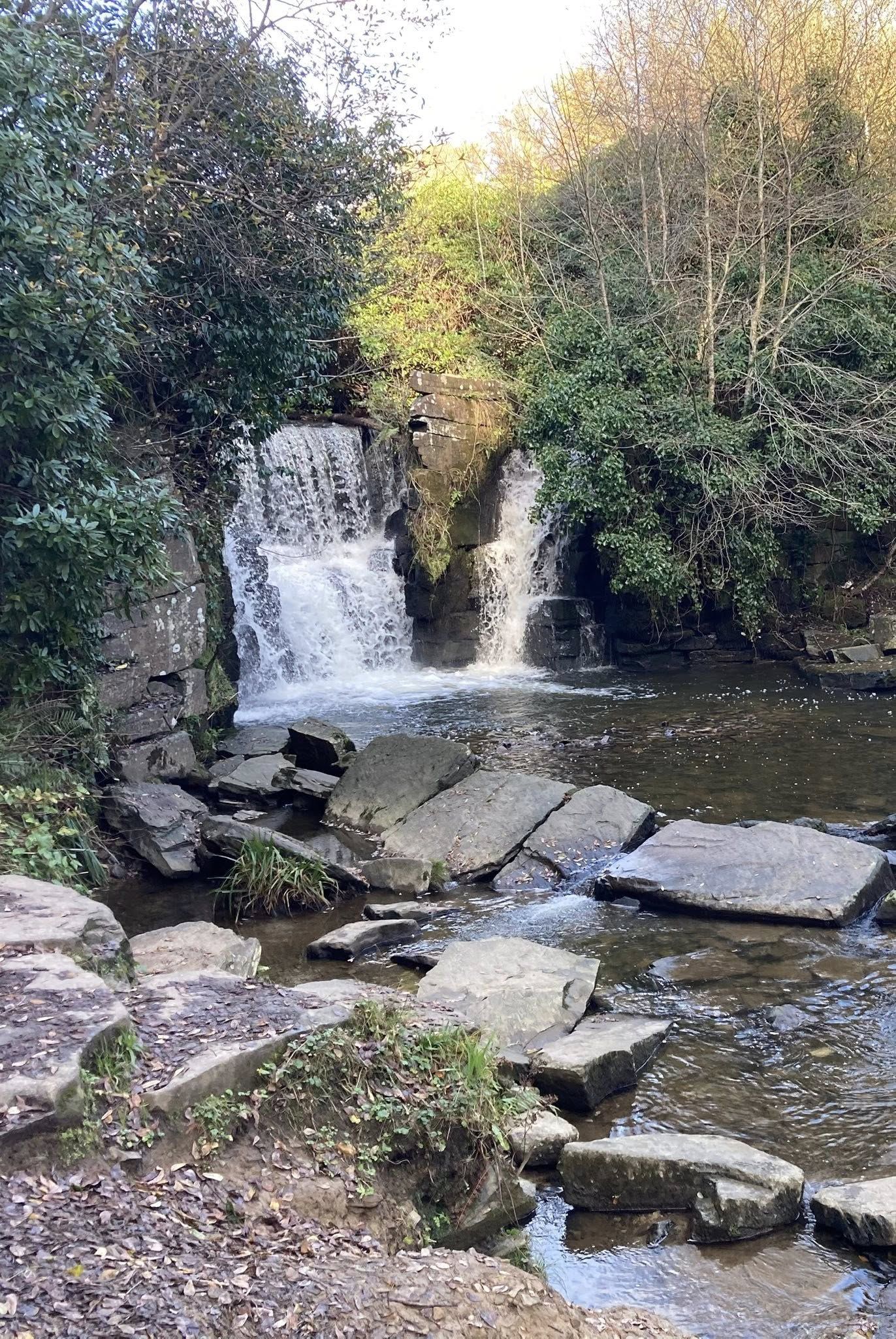 Penllergare Valley Woods